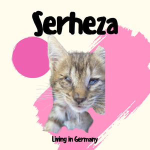 Serheza
