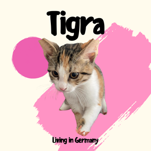 Tigra